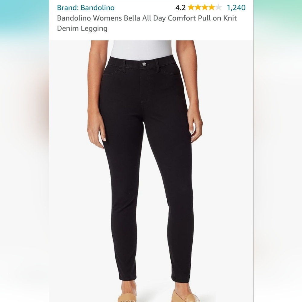 Dress pant/jegging